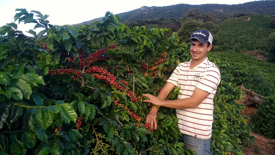 Produtor na lavoura de café